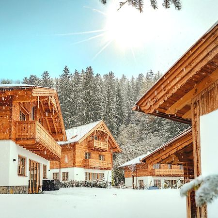 Luxury Chalets Gradenbach Near Schladming ハウス・イム・エンスタール エクステリア 写真
