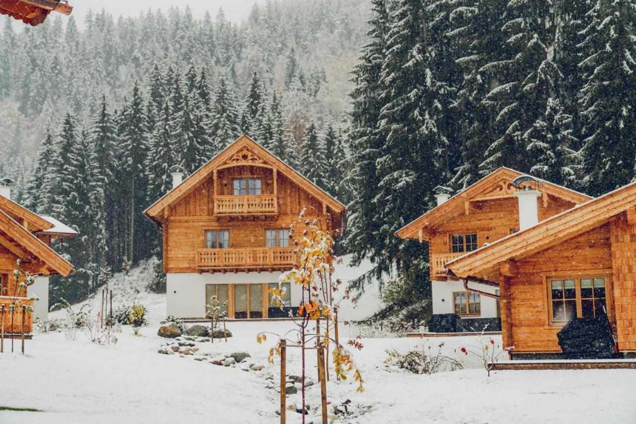Luxury Chalets Gradenbach Near Schladming ハウス・イム・エンスタール エクステリア 写真